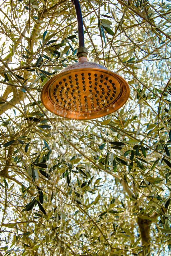 2 Cuori E 1 Yurta Glamping In Tuscany - Adults Only Ашяно Екстер'єр фото