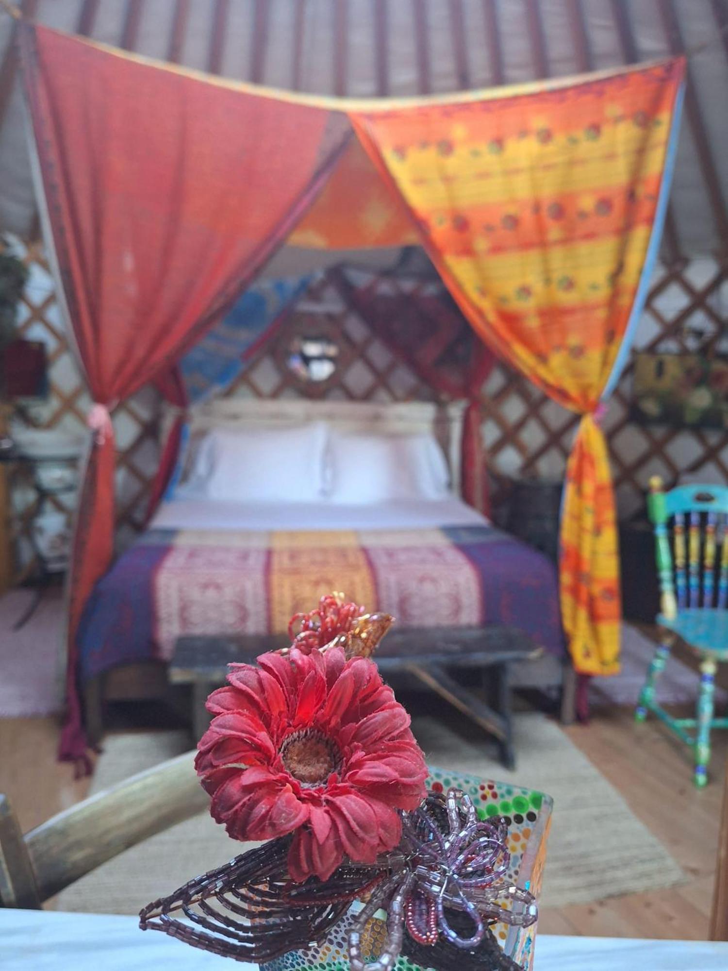 2 Cuori E 1 Yurta Glamping In Tuscany - Adults Only Ашяно Екстер'єр фото